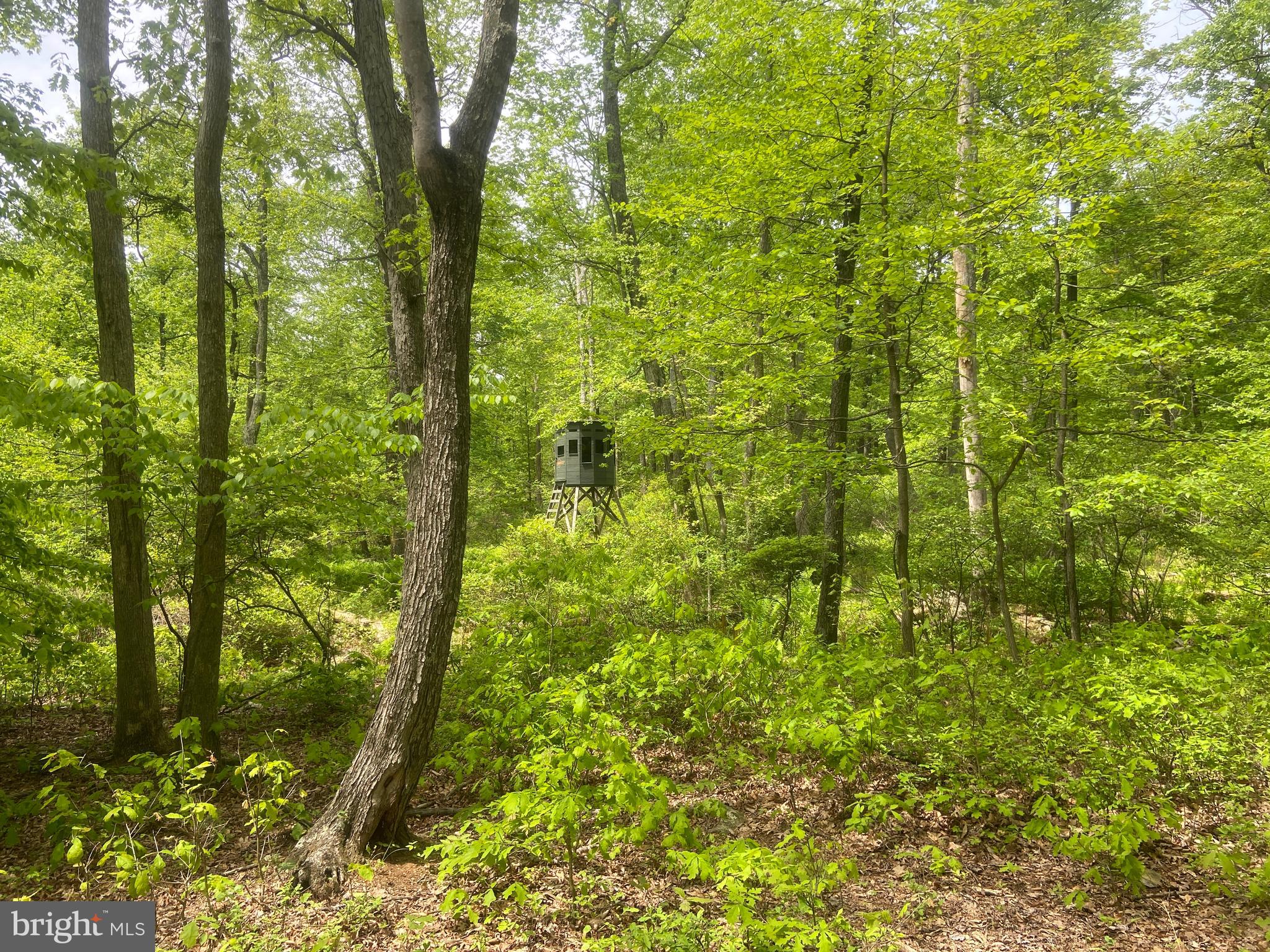 Real estate listing preview #113