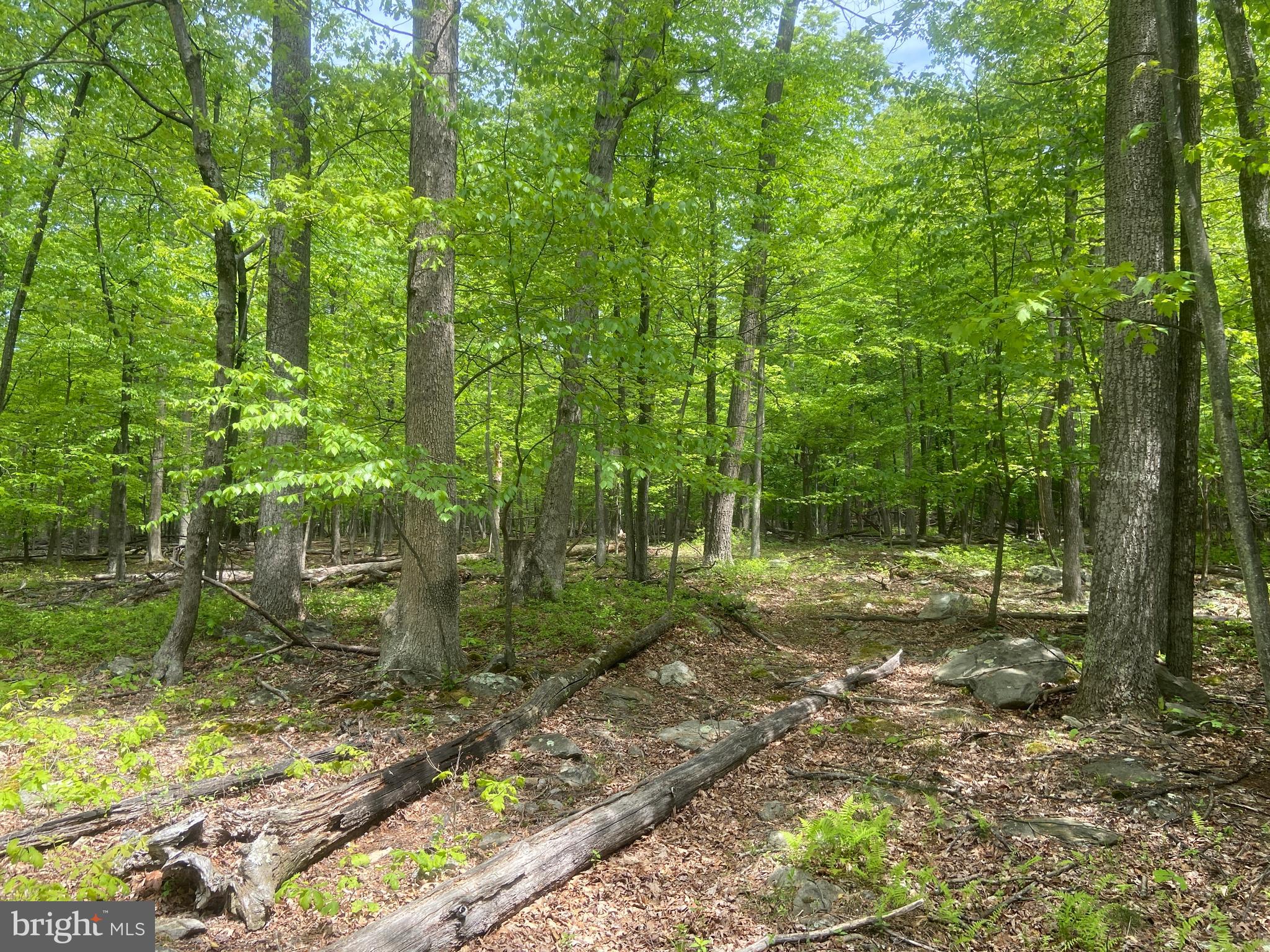 Real estate listing preview #115