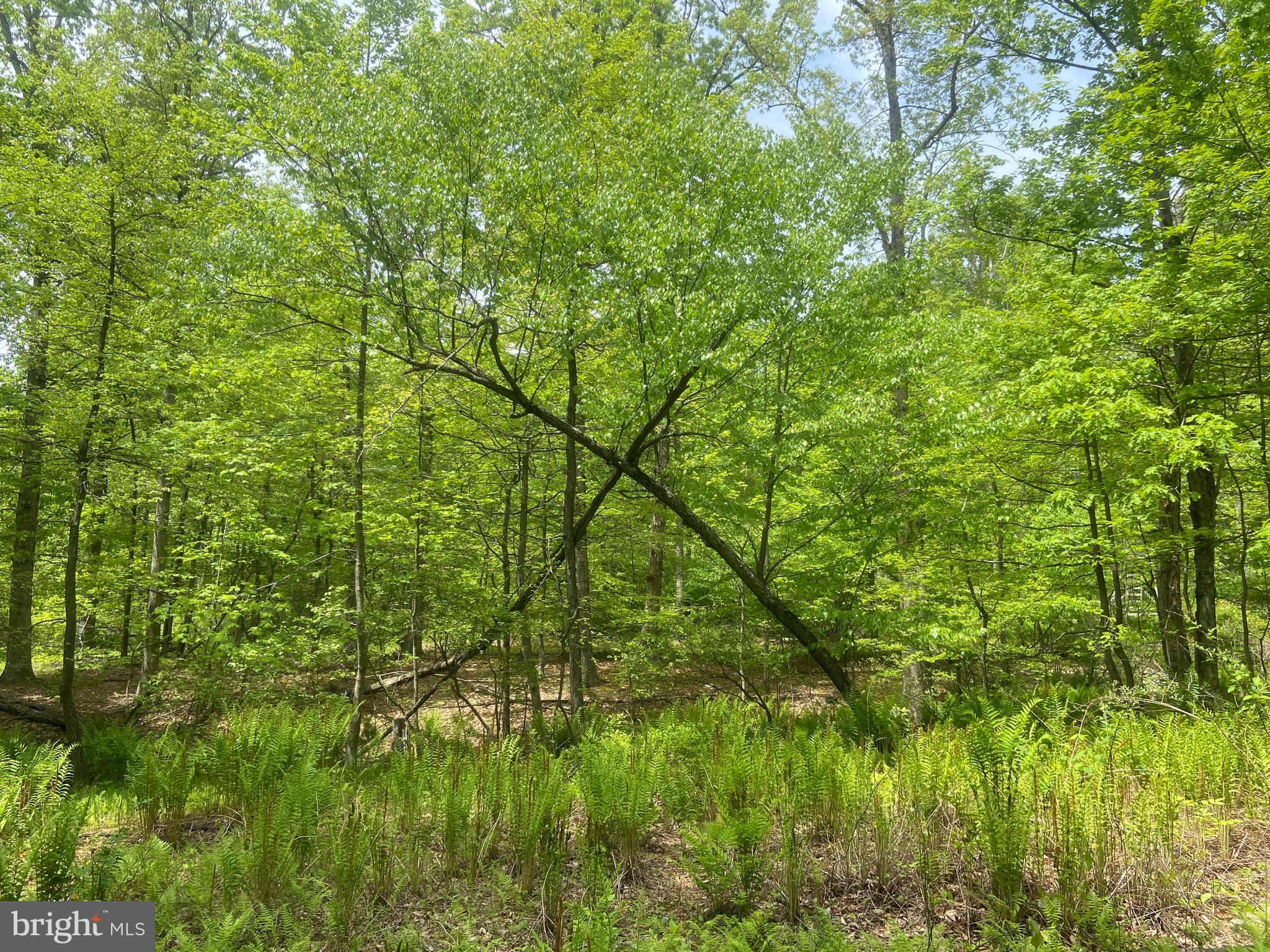 Real estate listing preview #116