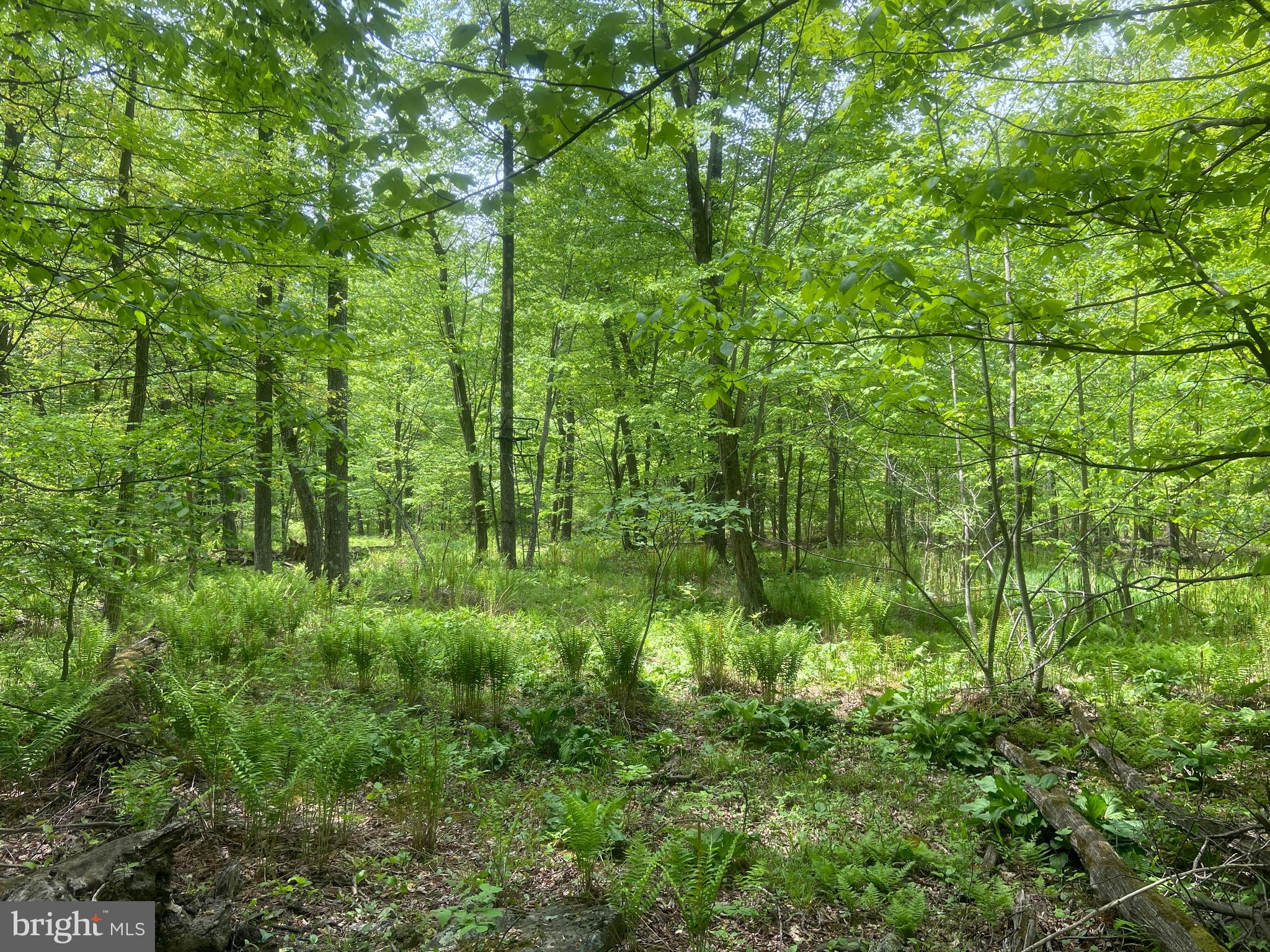 Real estate listing preview #119