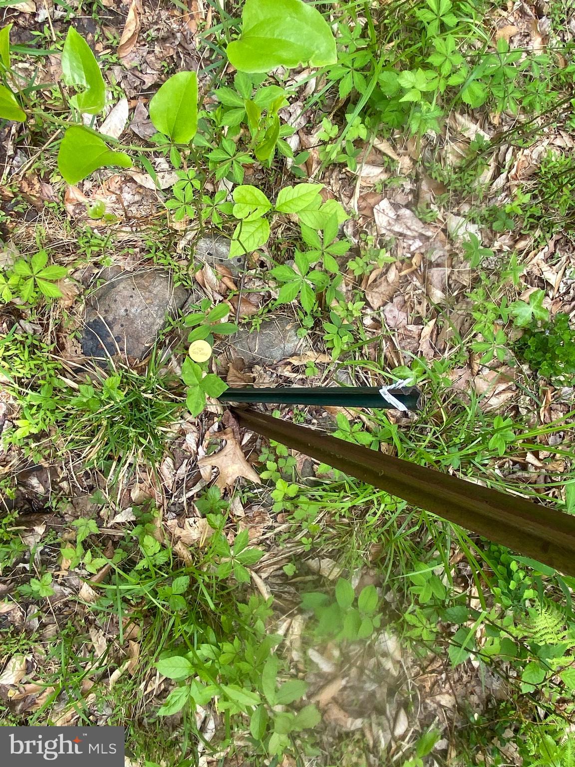 Real estate listing preview #121