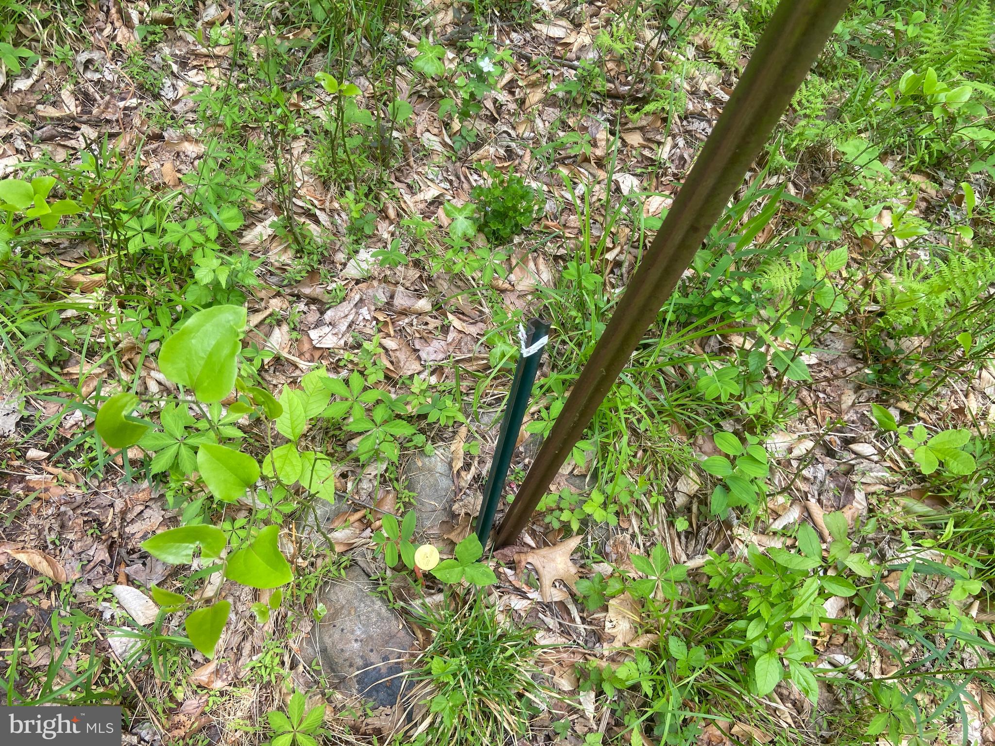 Real estate listing preview #123