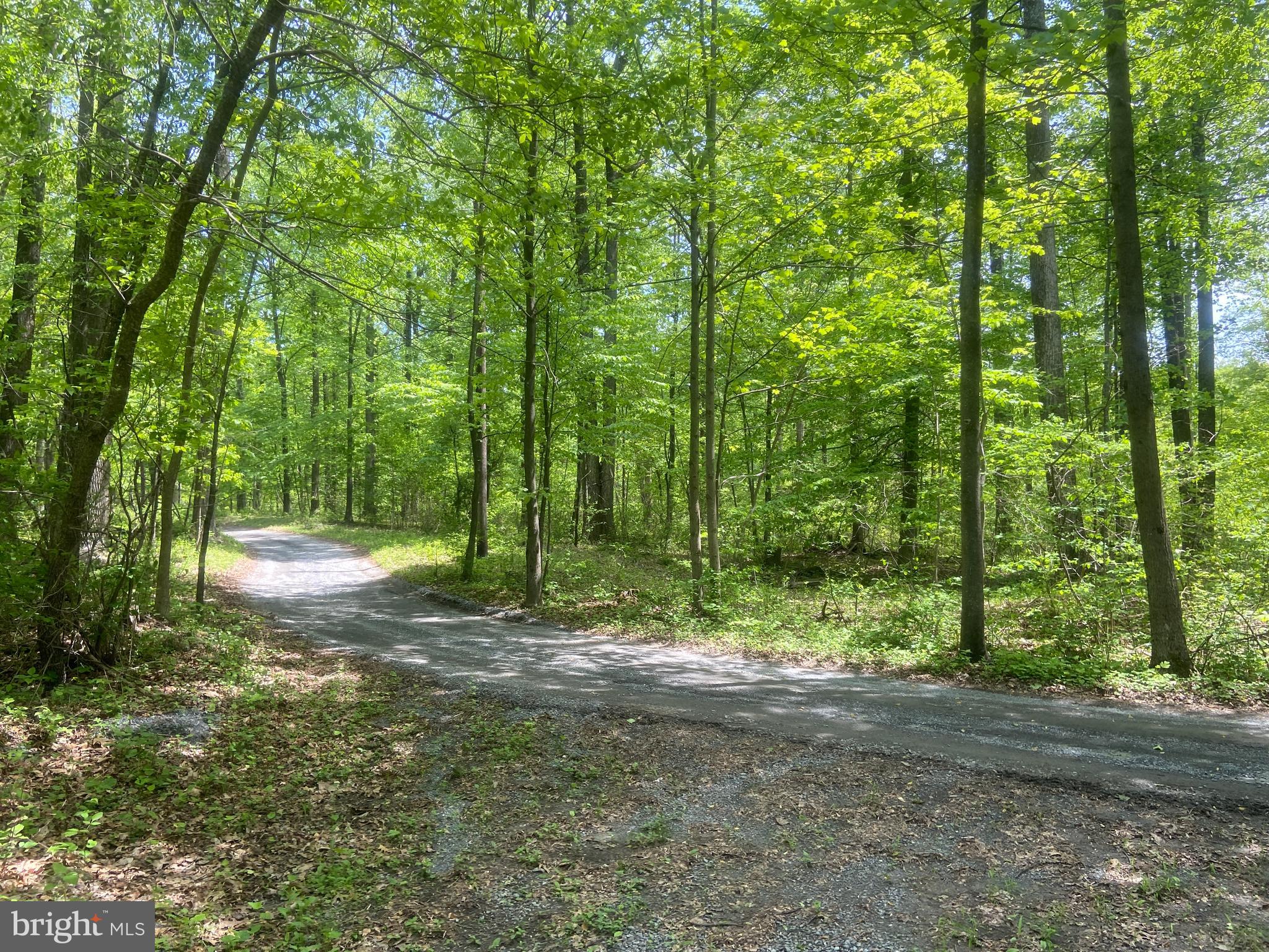 Real estate listing preview #126