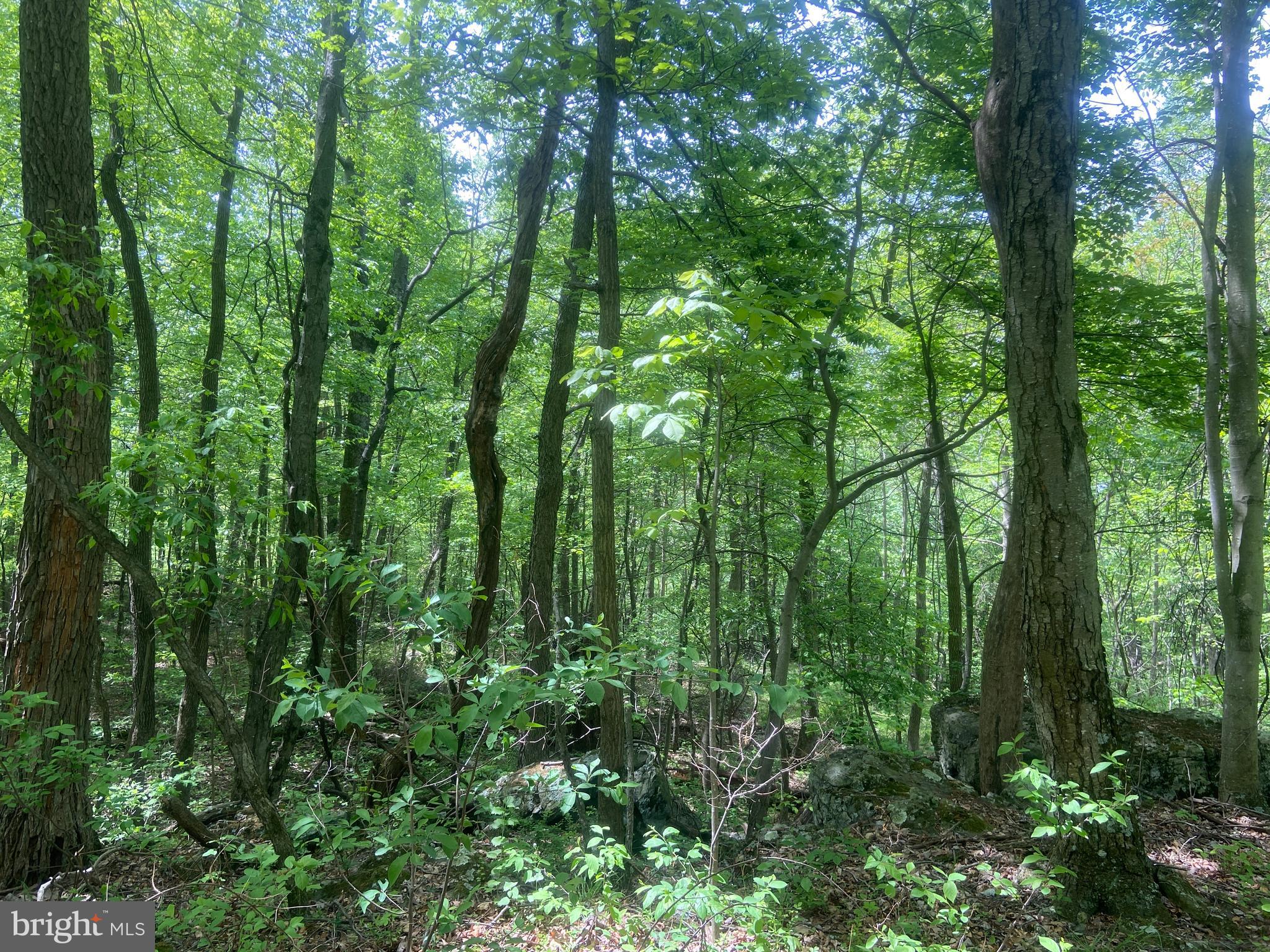 Real estate listing preview #132