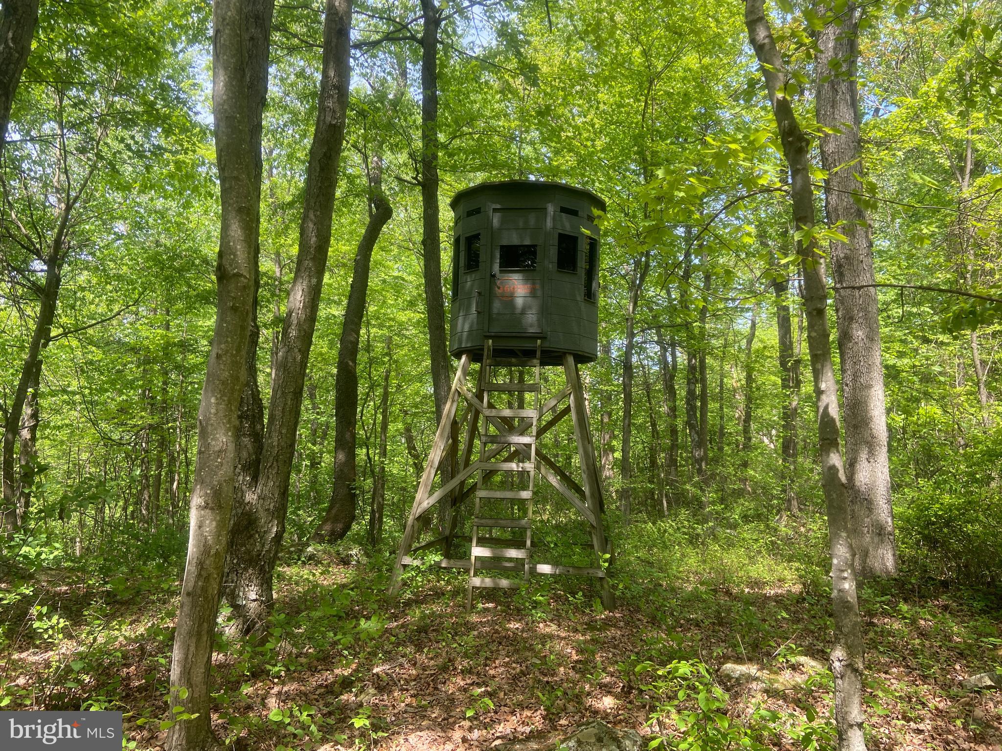 Real estate listing preview #134