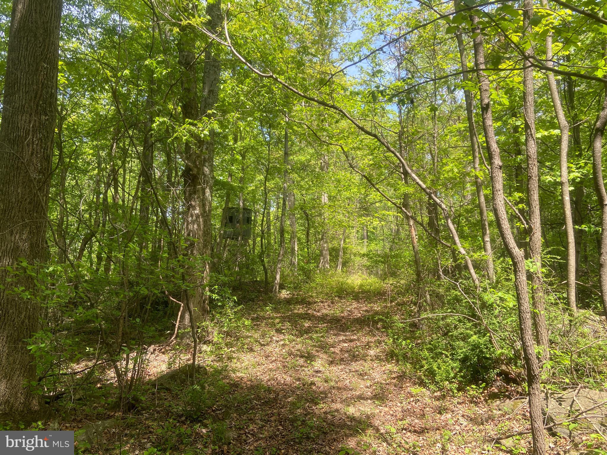 Real estate listing preview #136