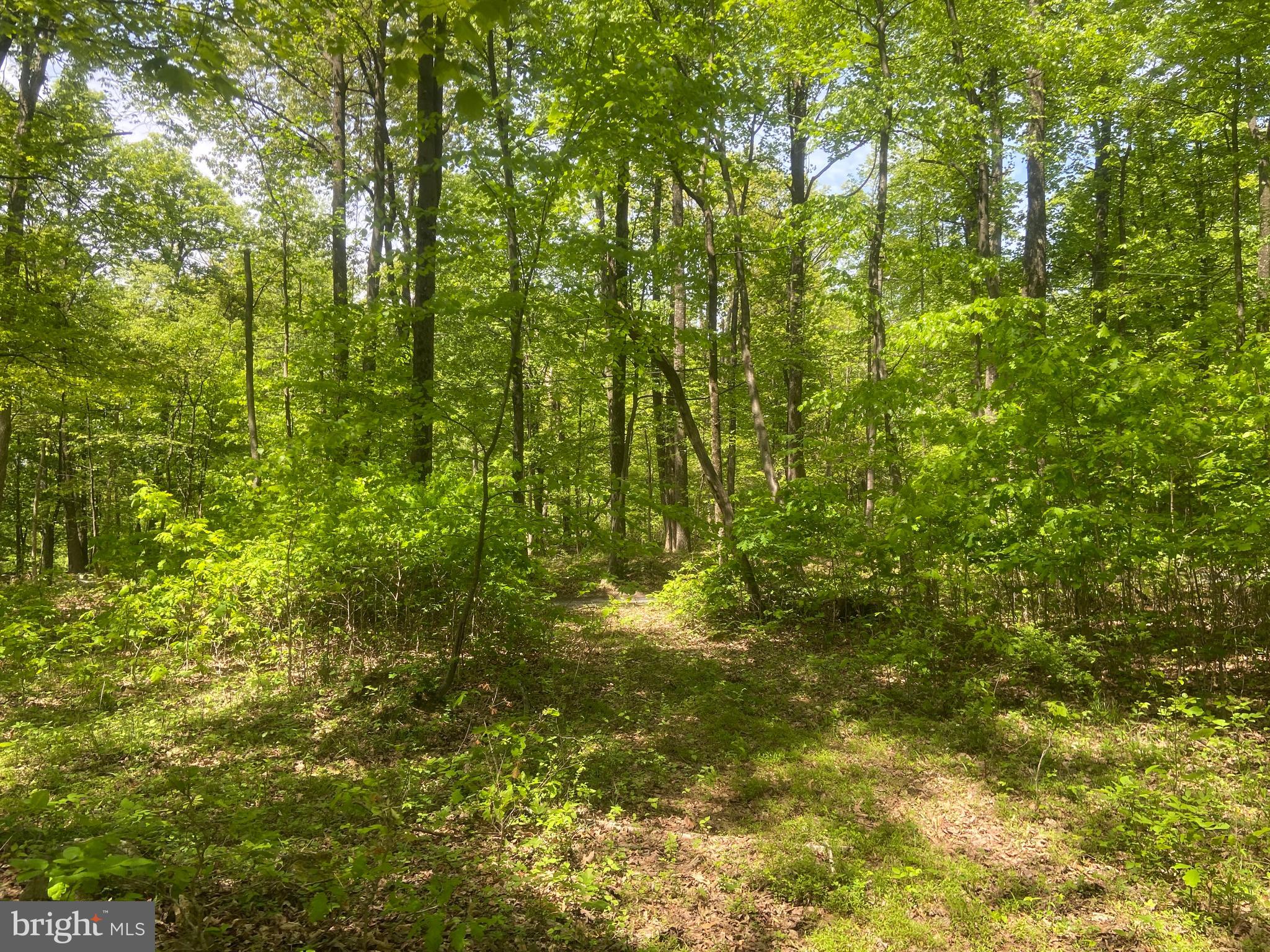 Real estate listing preview #138