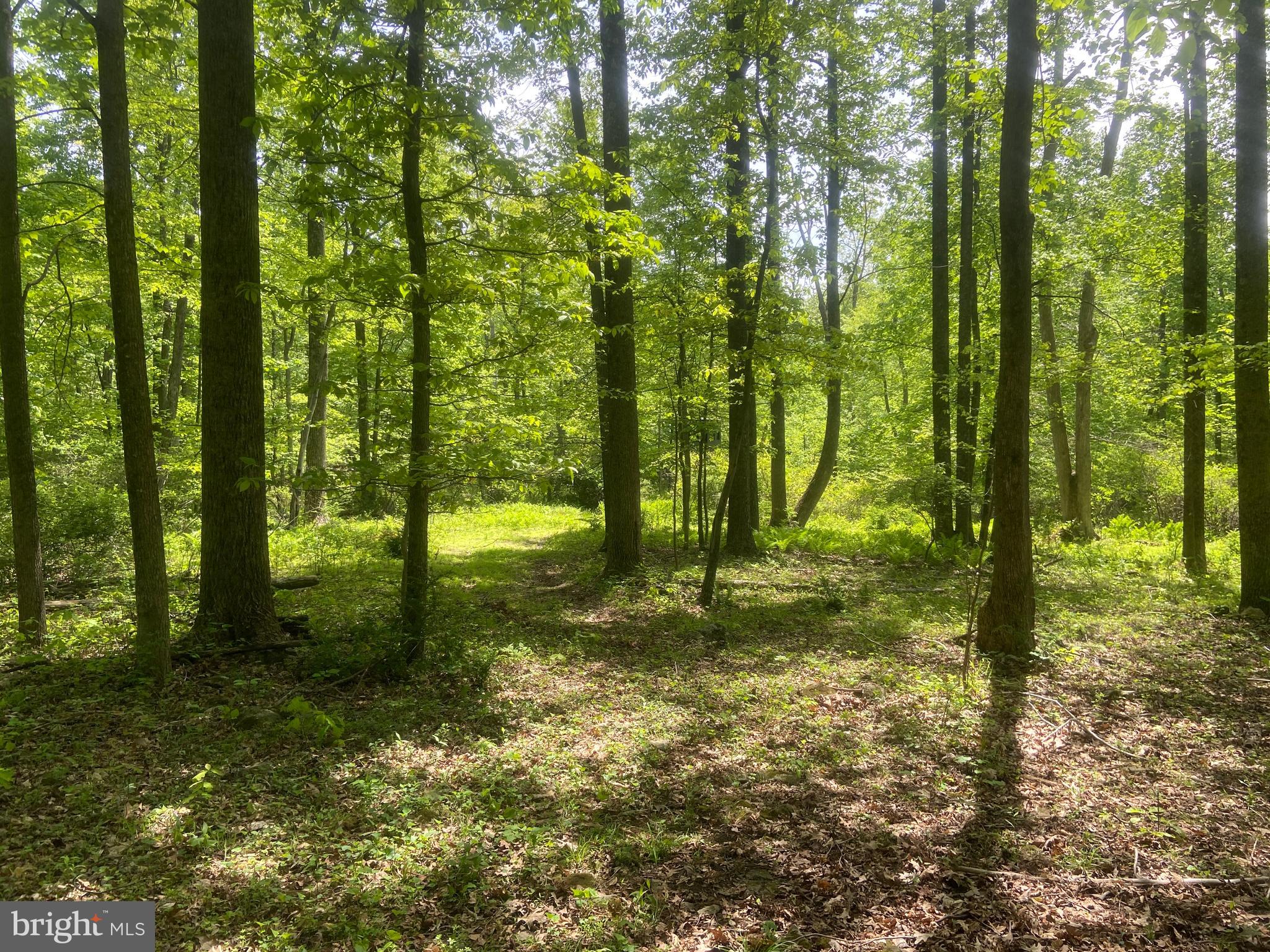 Real estate listing preview #140