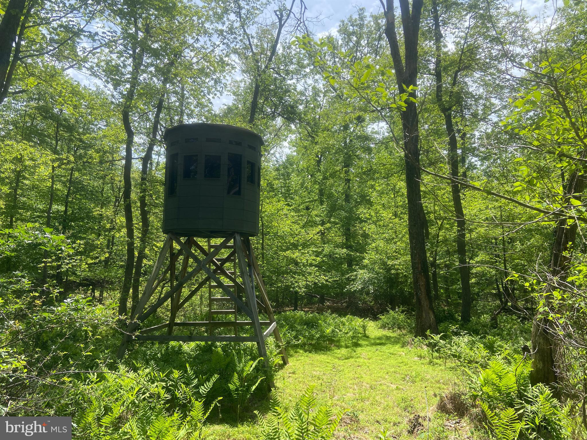 Real estate listing preview #128