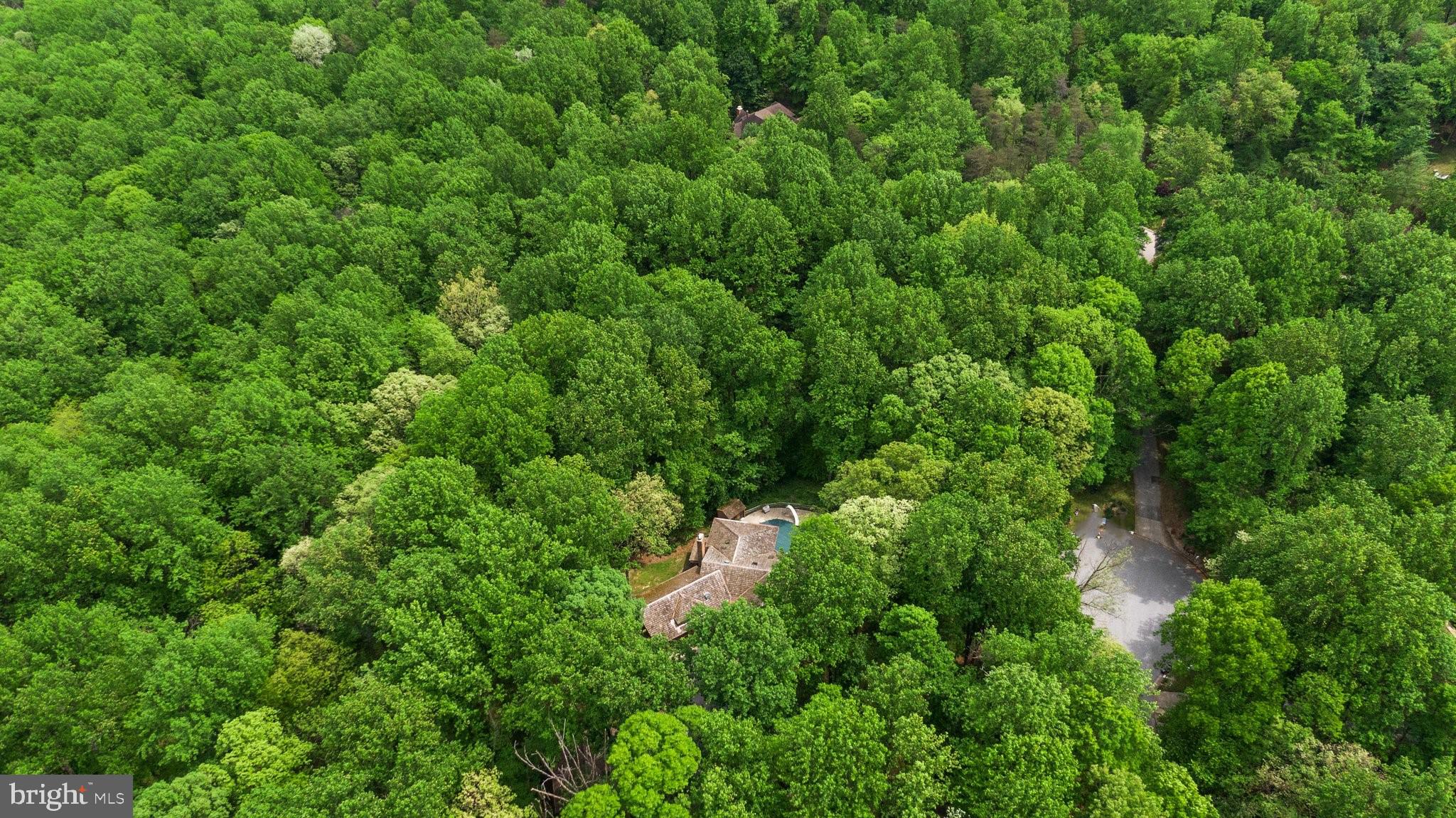 Real estate listing preview #65