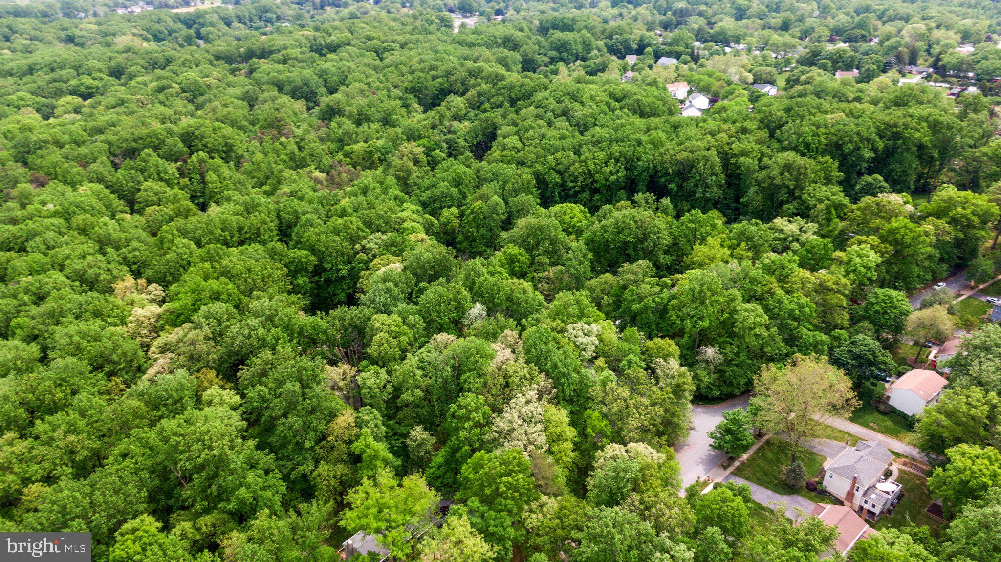 Real estate listing preview #66