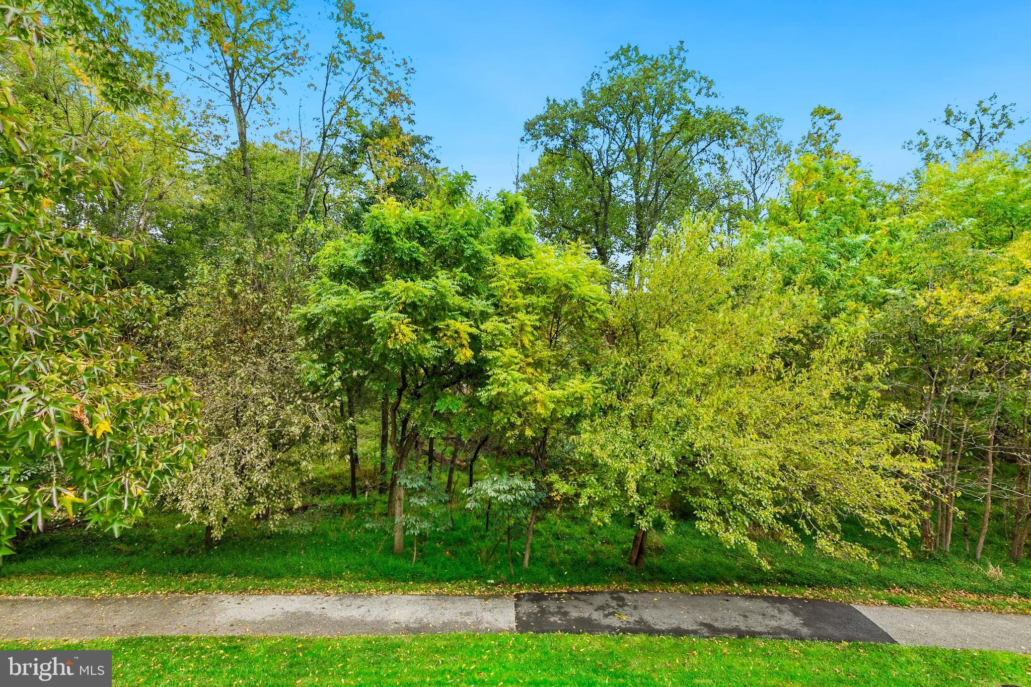 Real estate listing preview #53