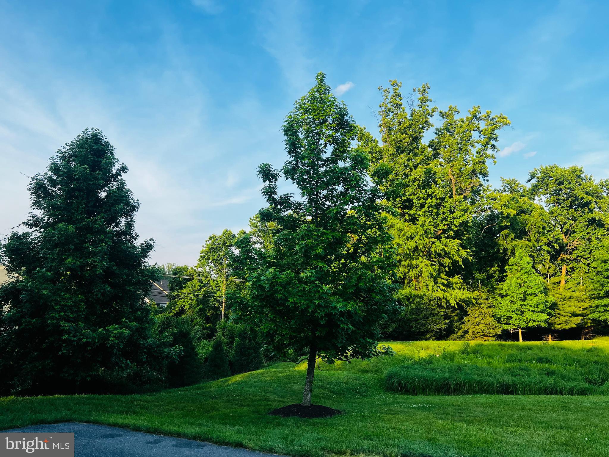 Real estate listing preview #71