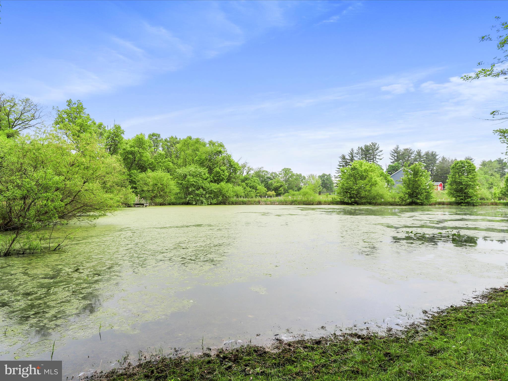 Real estate listing preview #57