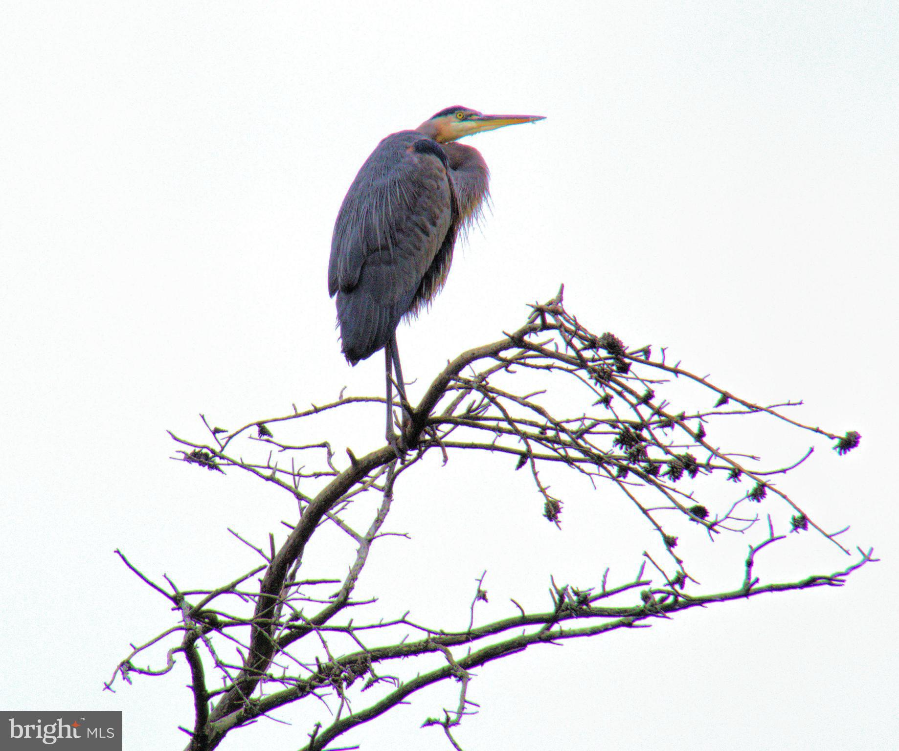 Real estate listing preview #36