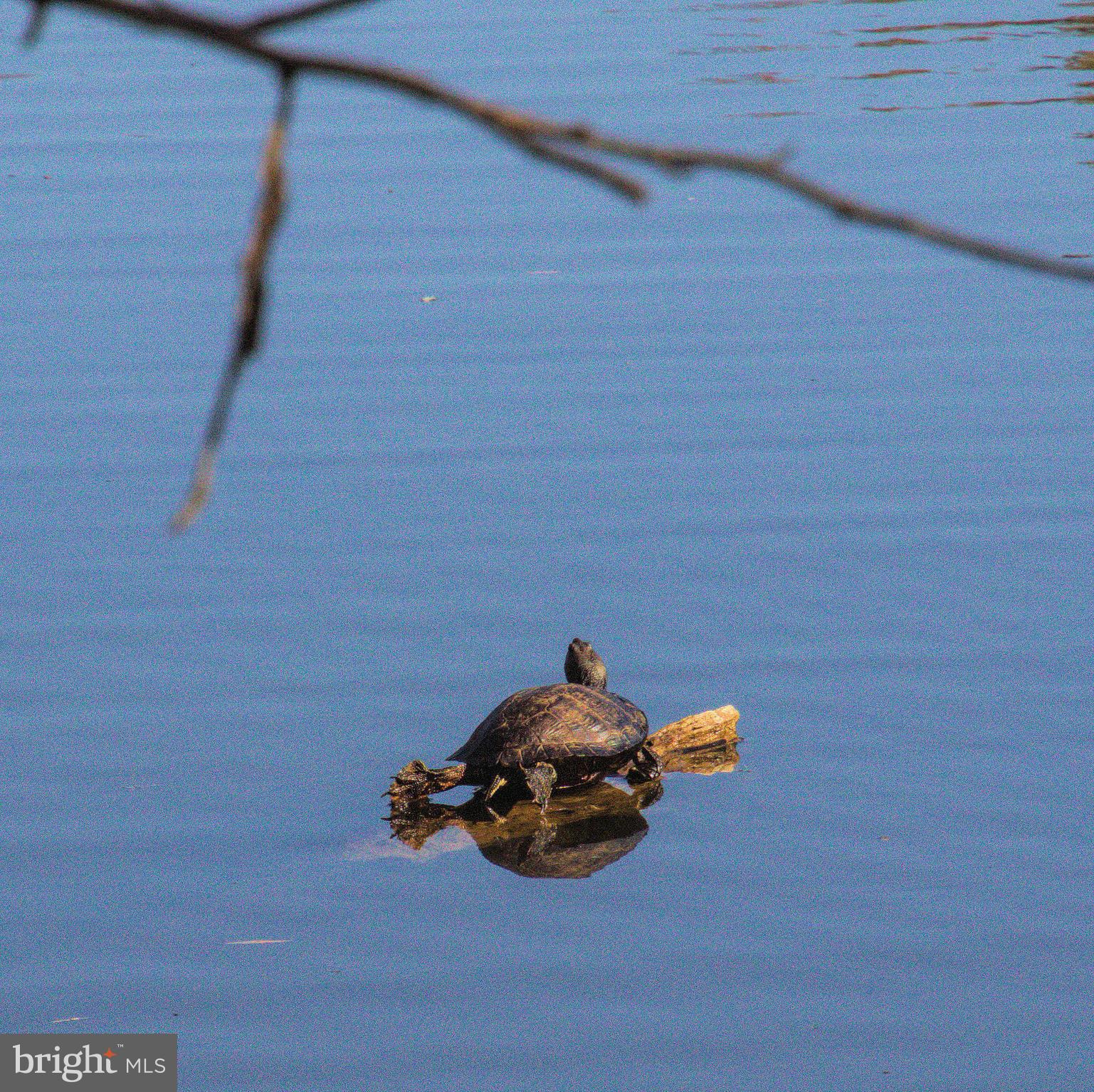 Real estate listing preview #48