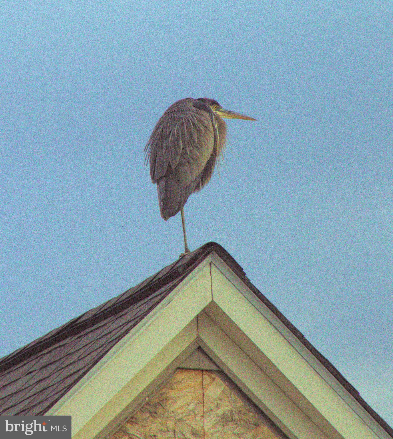 Real estate listing preview #35