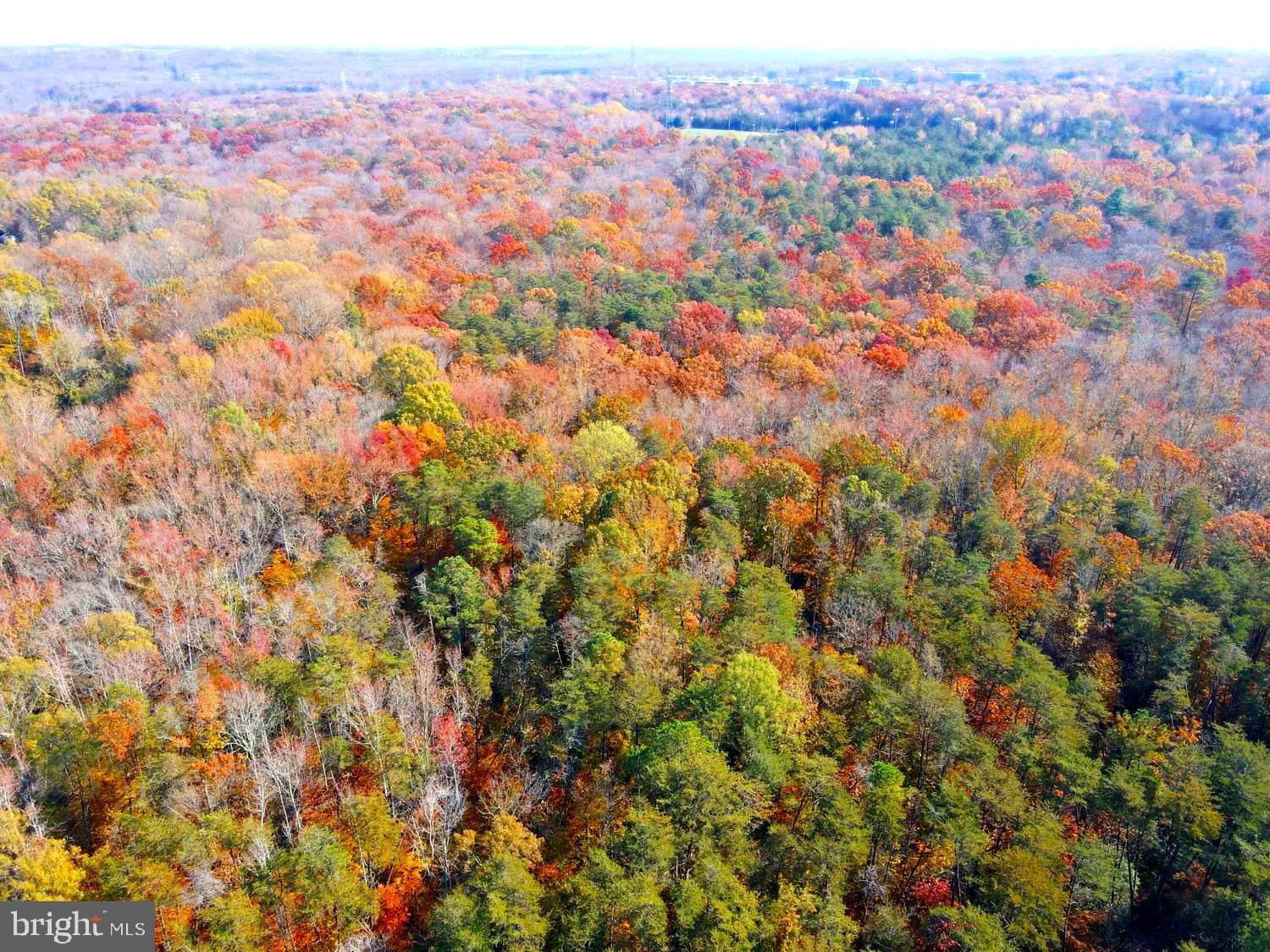 Real estate listing preview #9