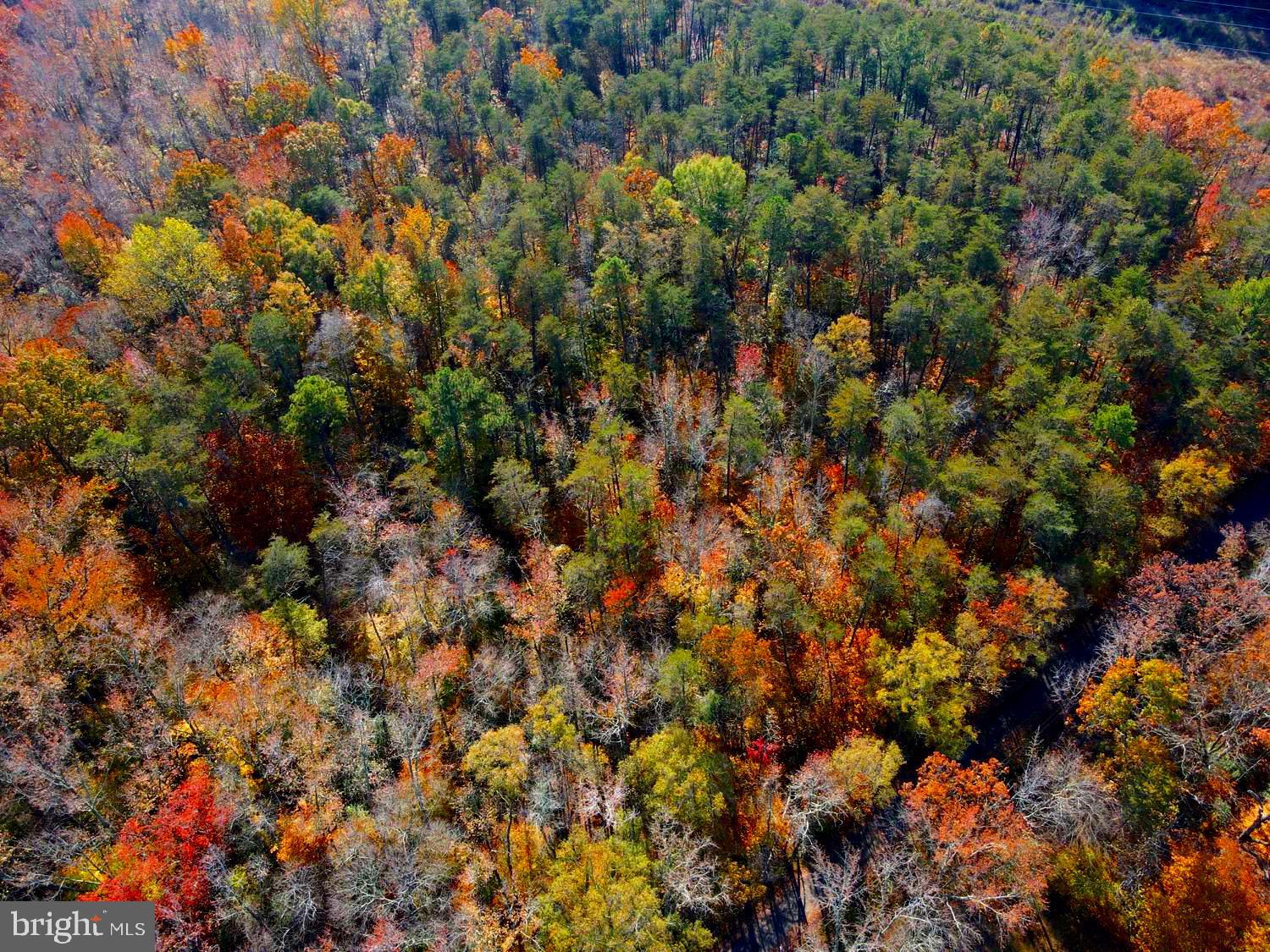 Real estate listing preview #11