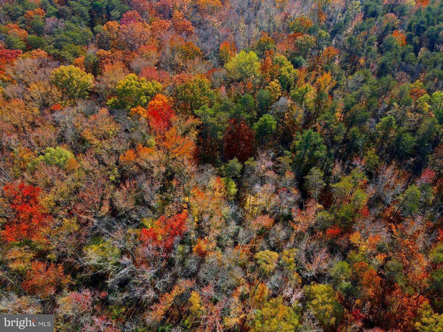 Real estate listing preview #12