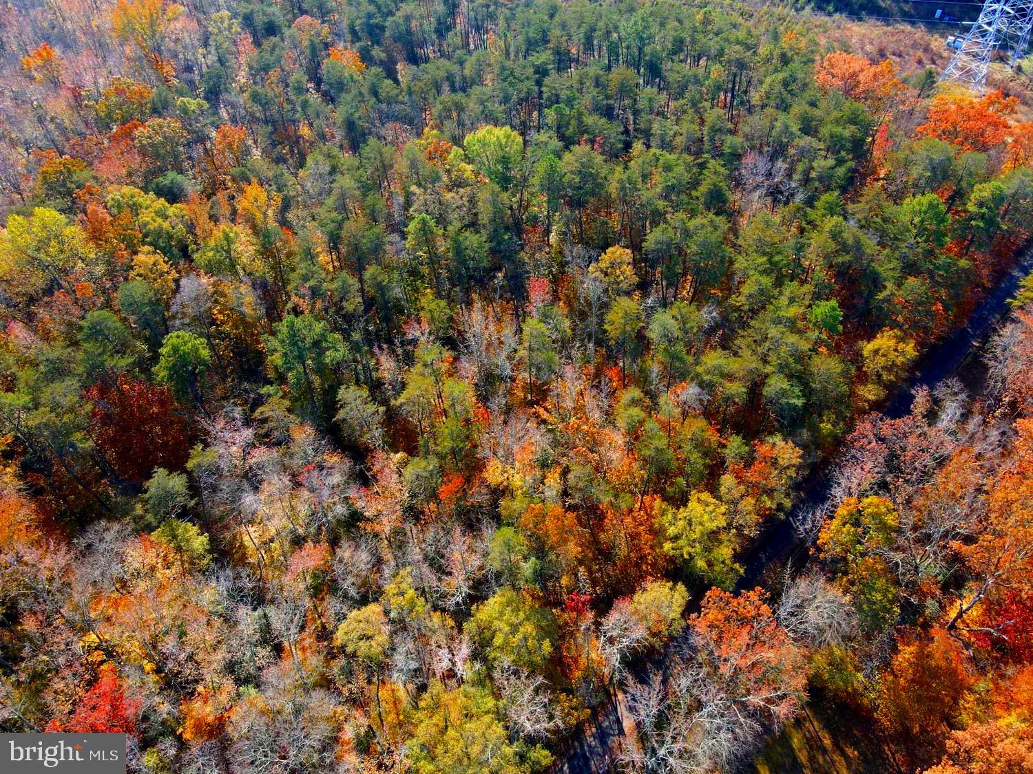 Real estate listing preview #13