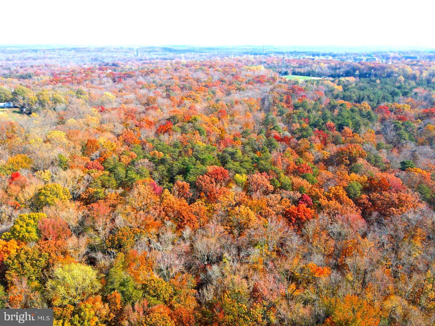 Real estate listing preview #1