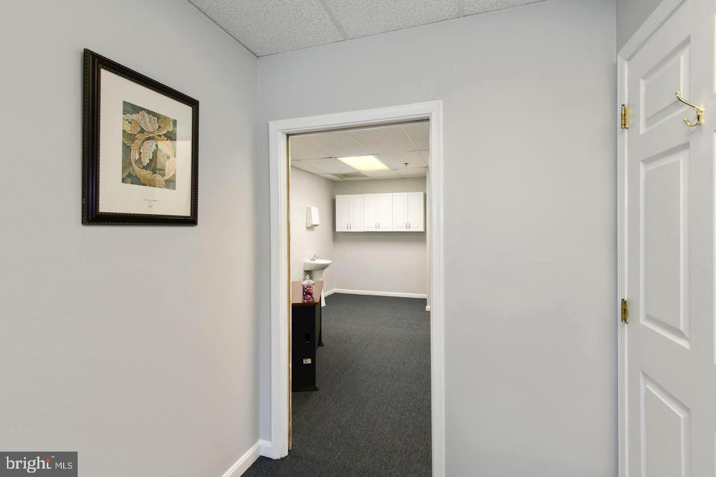 Real estate listing preview #18