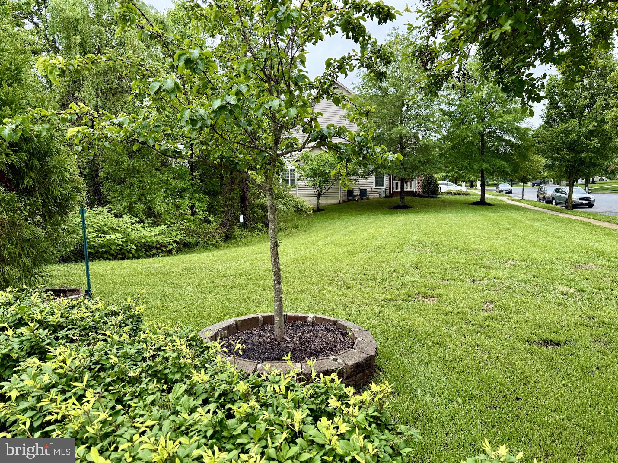 Real estate listing preview #83