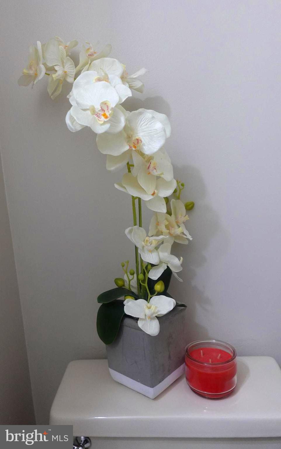 Real estate listing preview #23