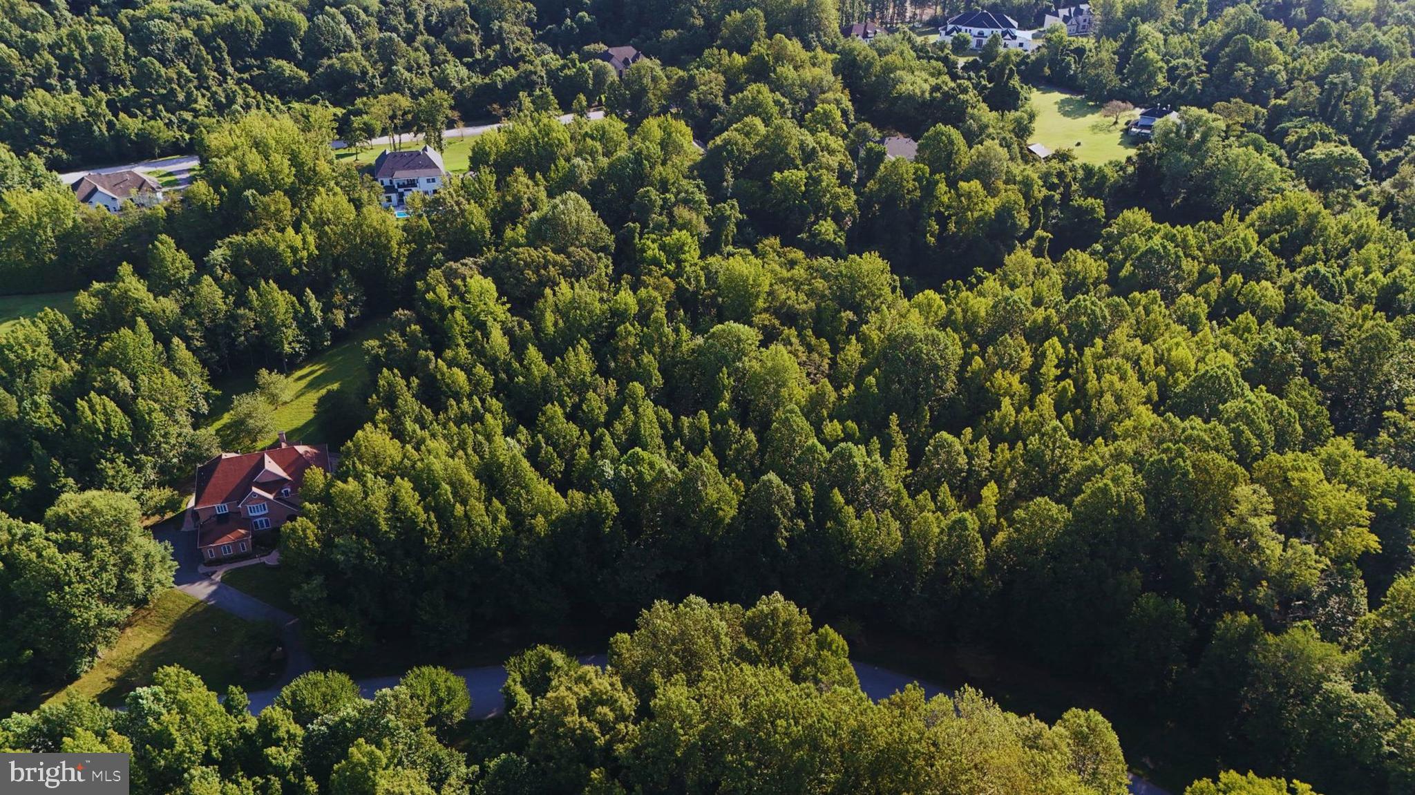 Real estate listing preview #10