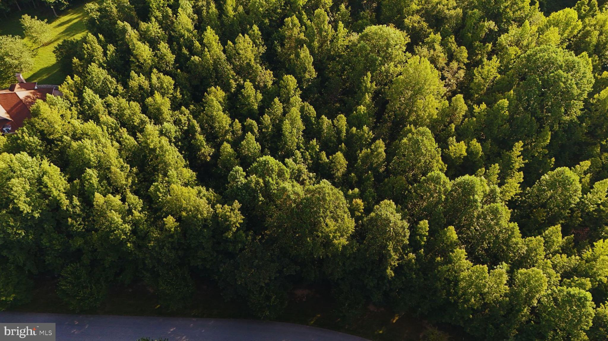 Real estate listing preview #11