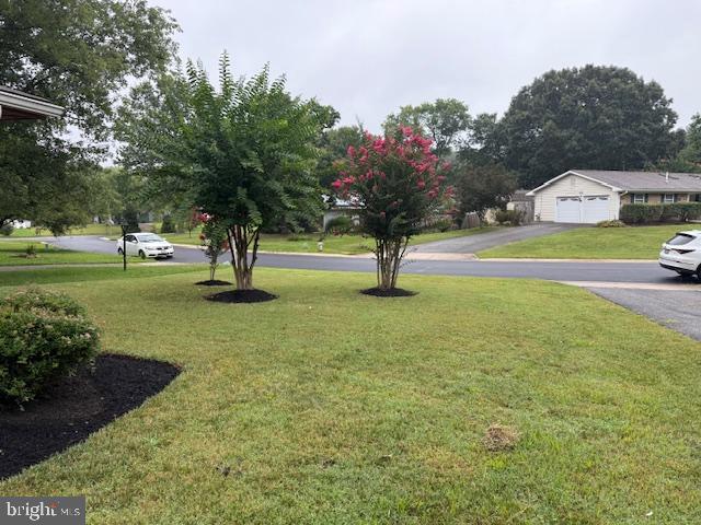 Real estate listing preview #5