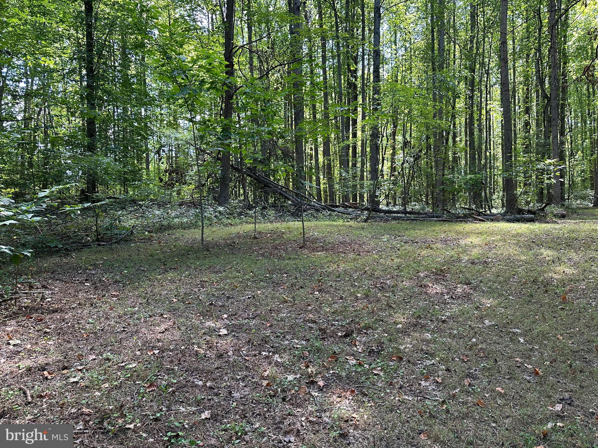 Real estate listing preview #2