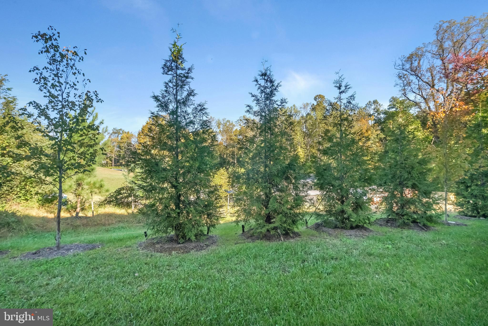 Real estate listing preview #27