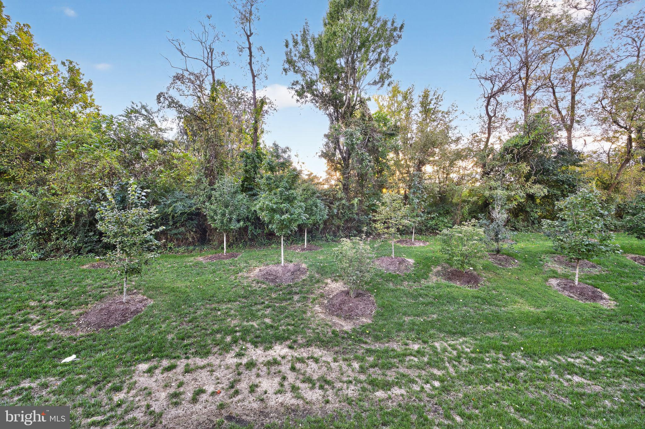 Real estate listing preview #50