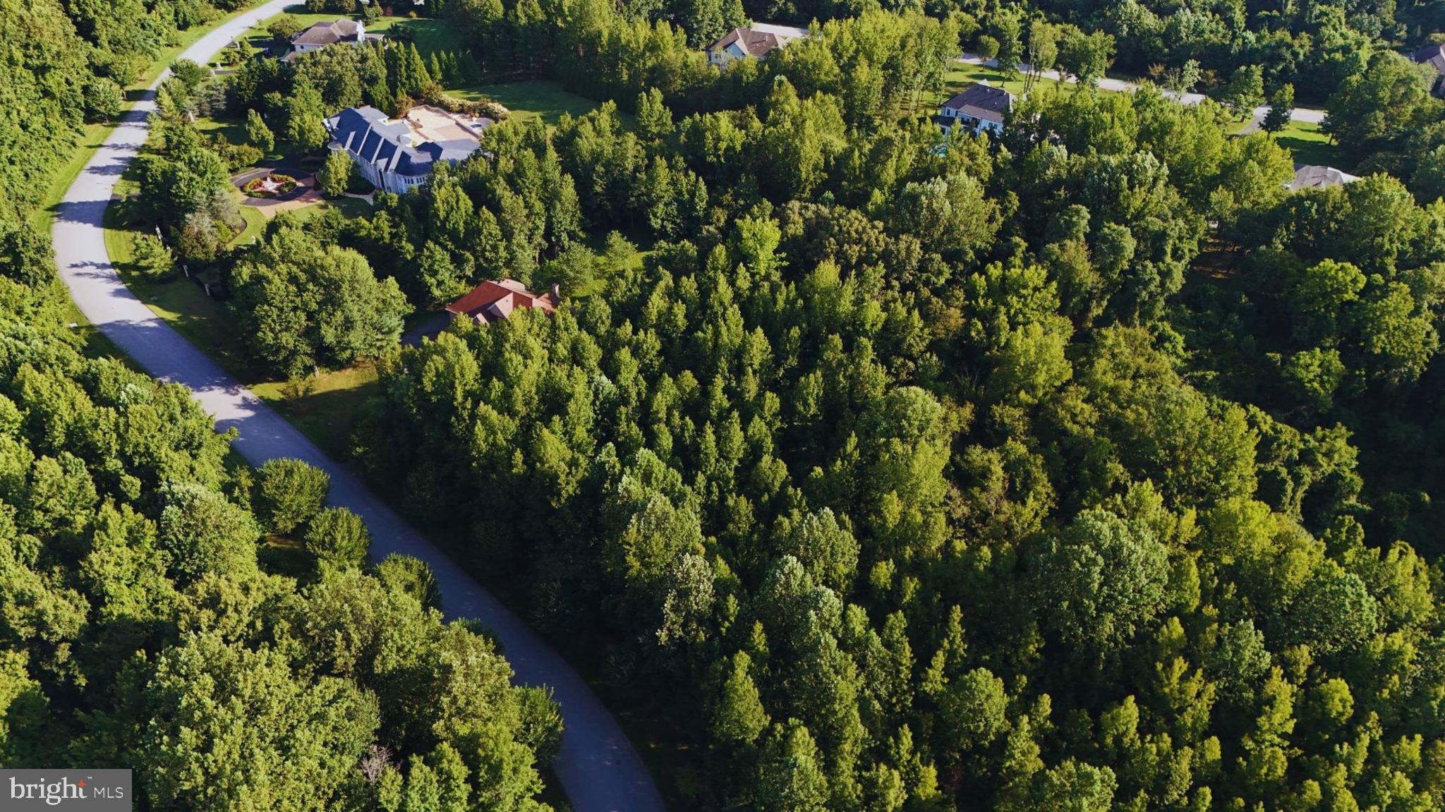 Real estate listing preview #4