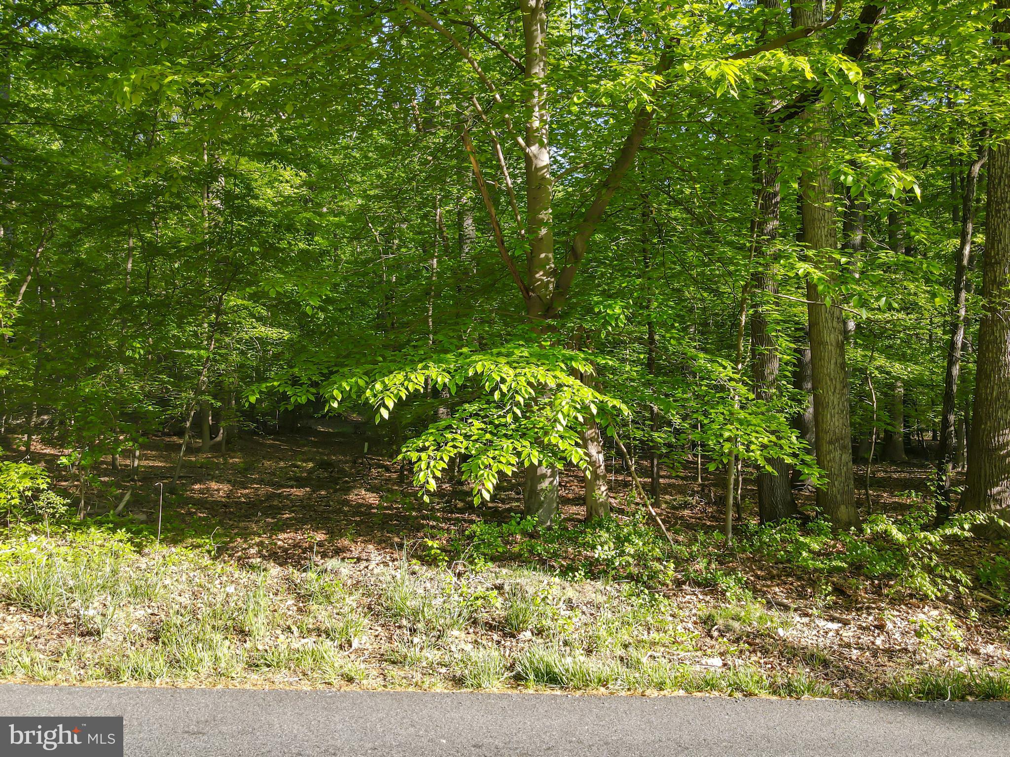 Real estate listing preview #3