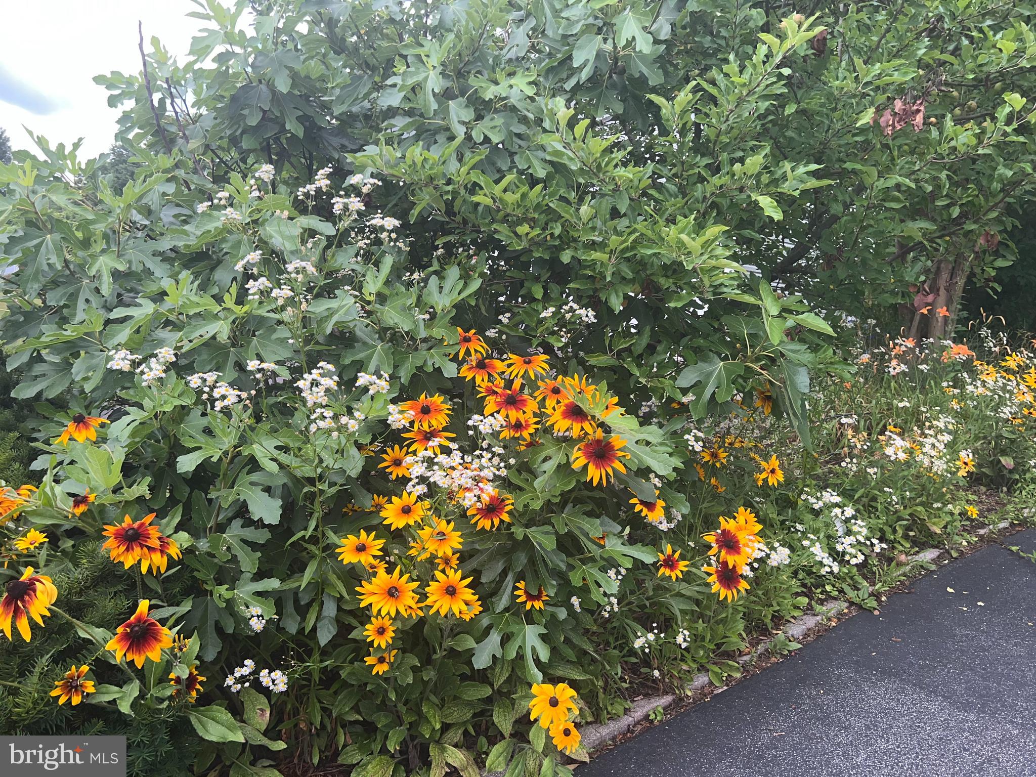 Real estate listing preview #4