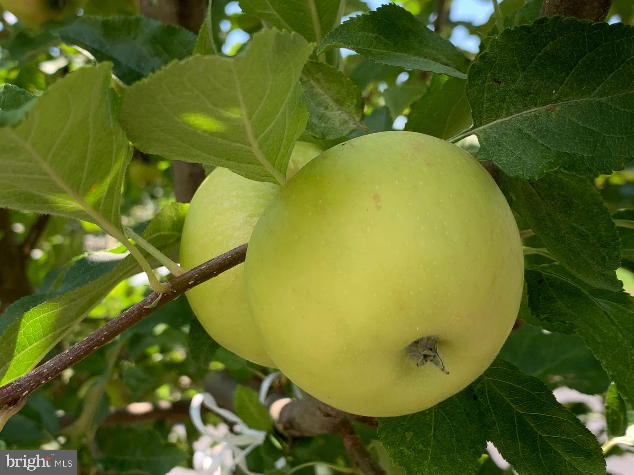 Real estate listing preview #38