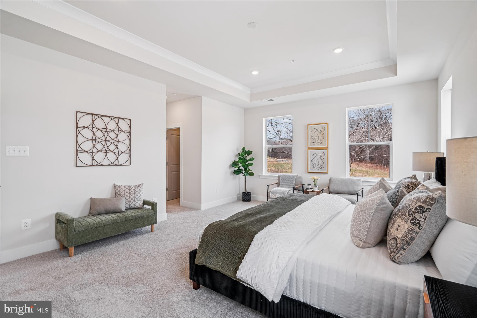 Real estate listing preview #20