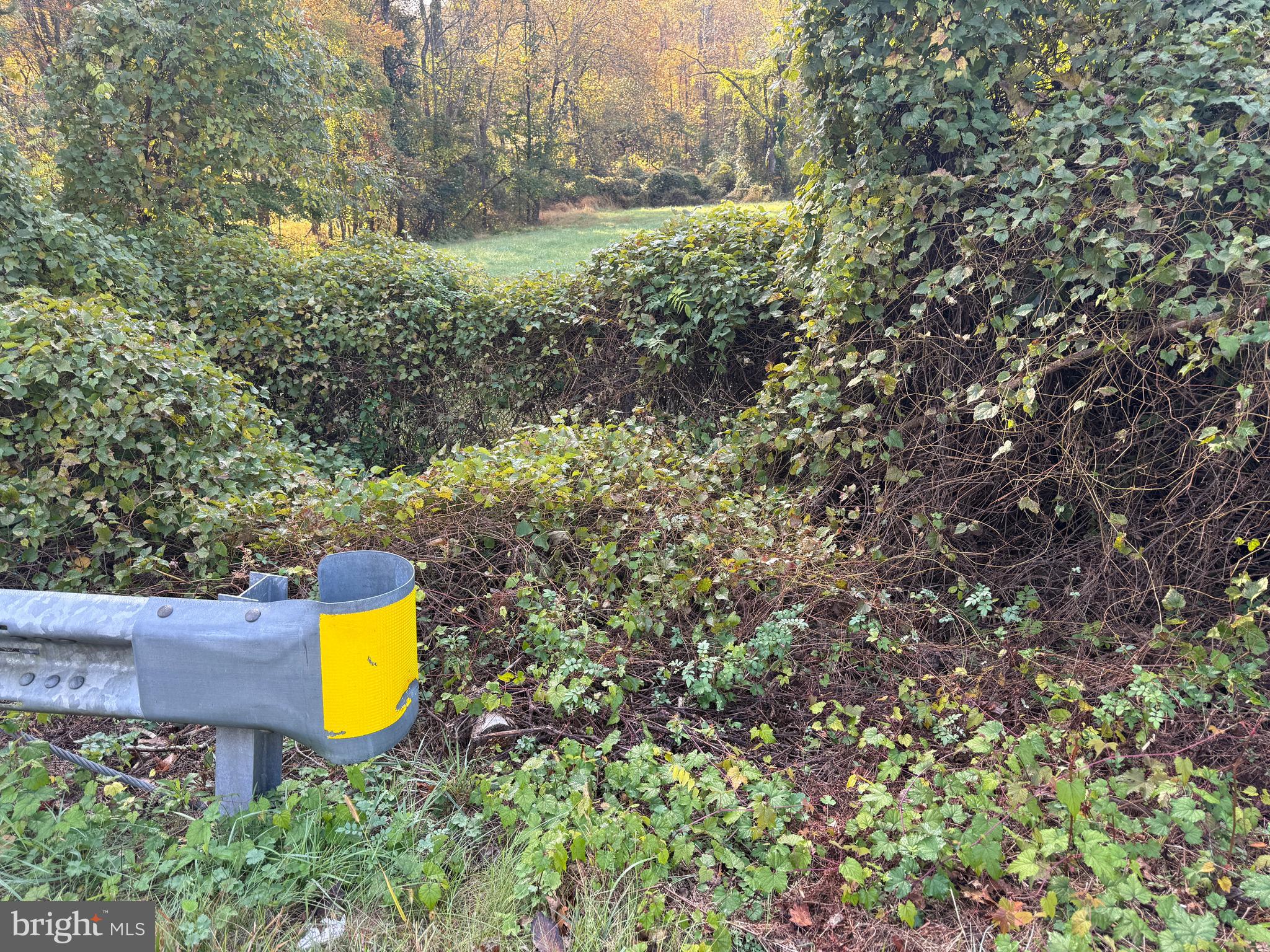 Real estate listing preview #8