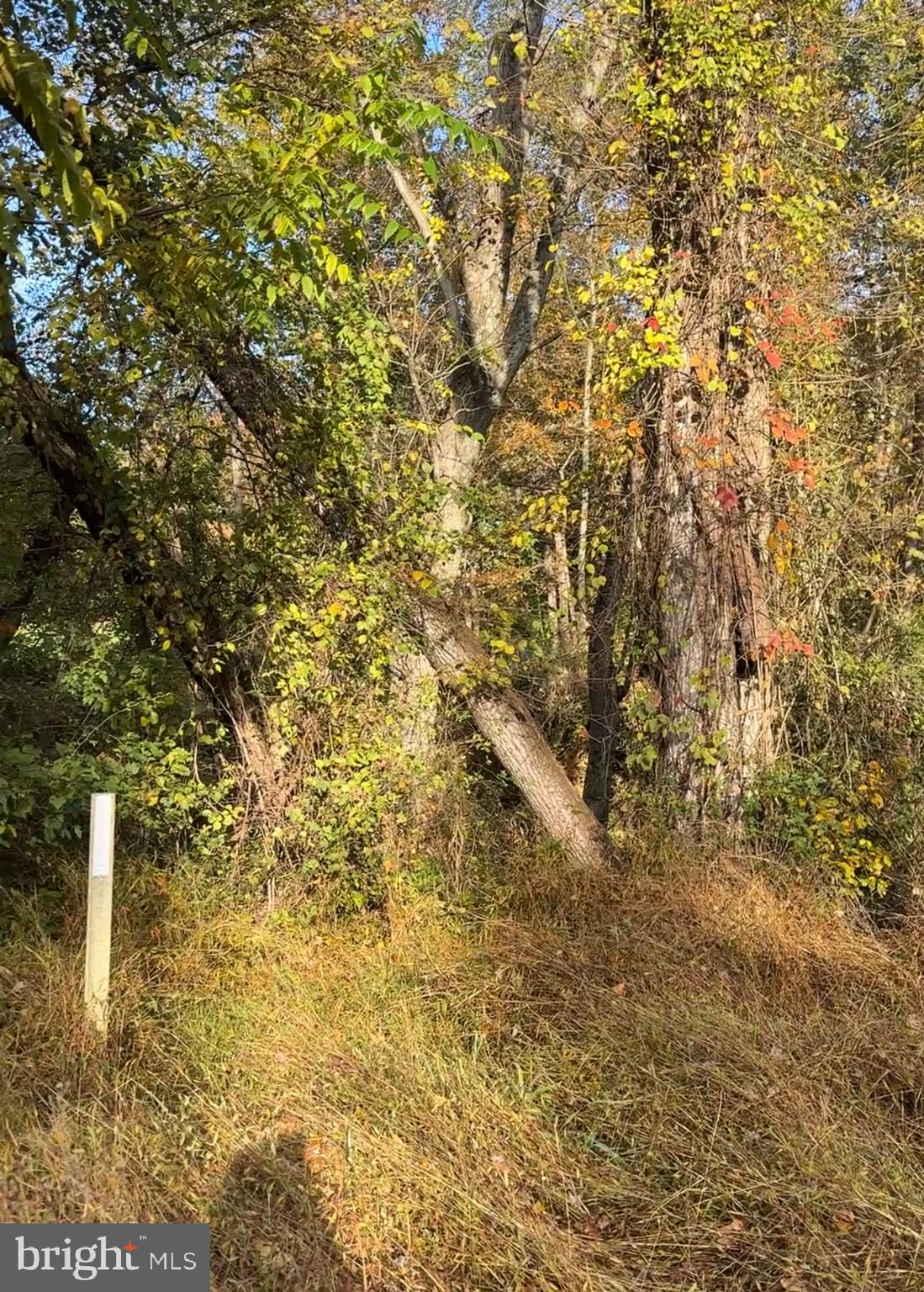 Real estate listing preview #7