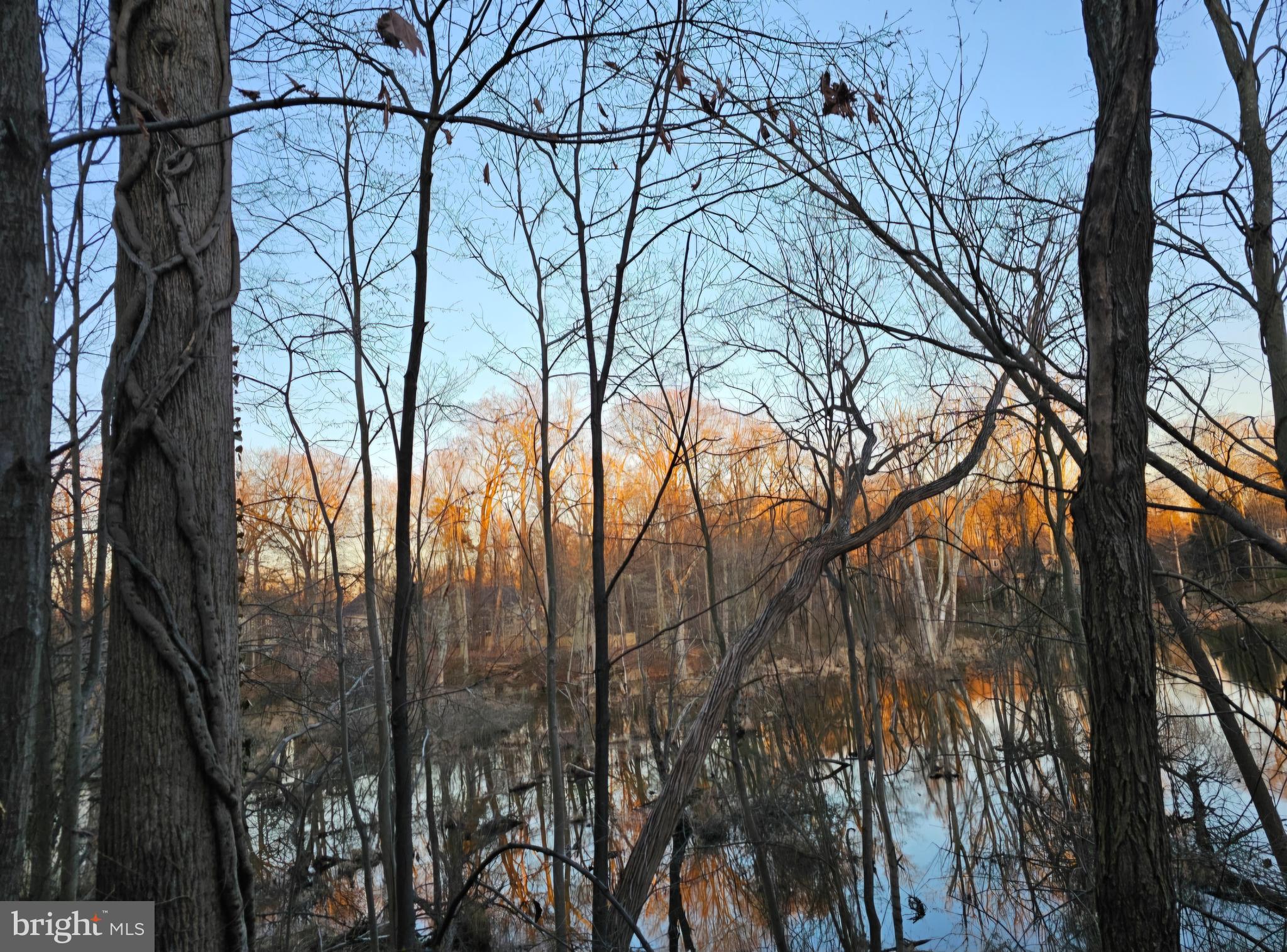 Real estate listing preview #22