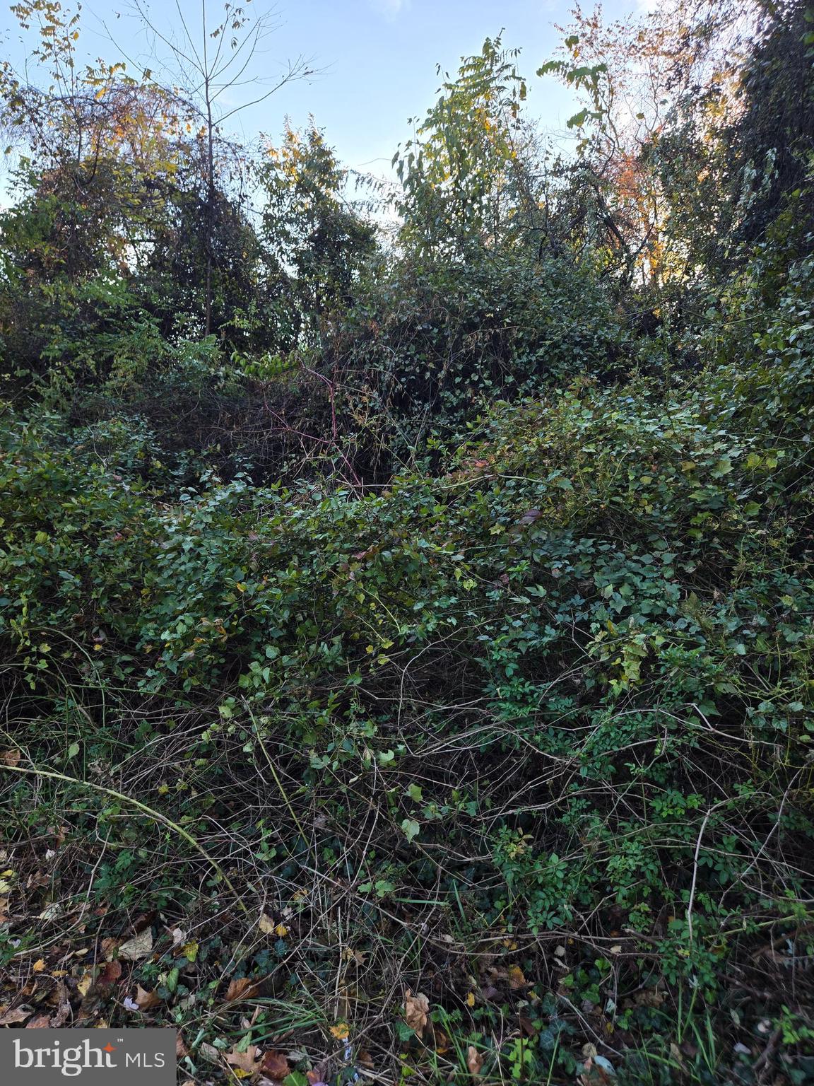 Real estate listing preview #2