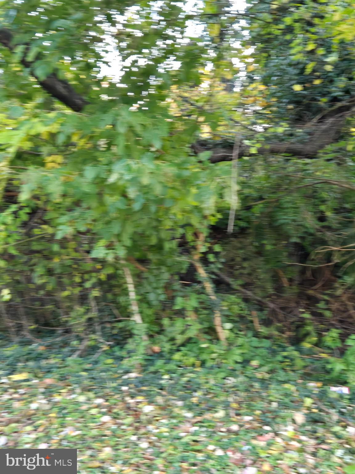 Real estate listing preview #3