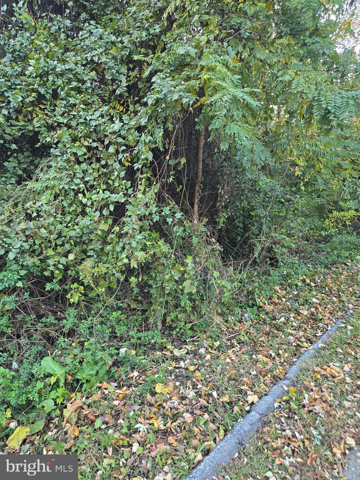 Real estate listing preview #1