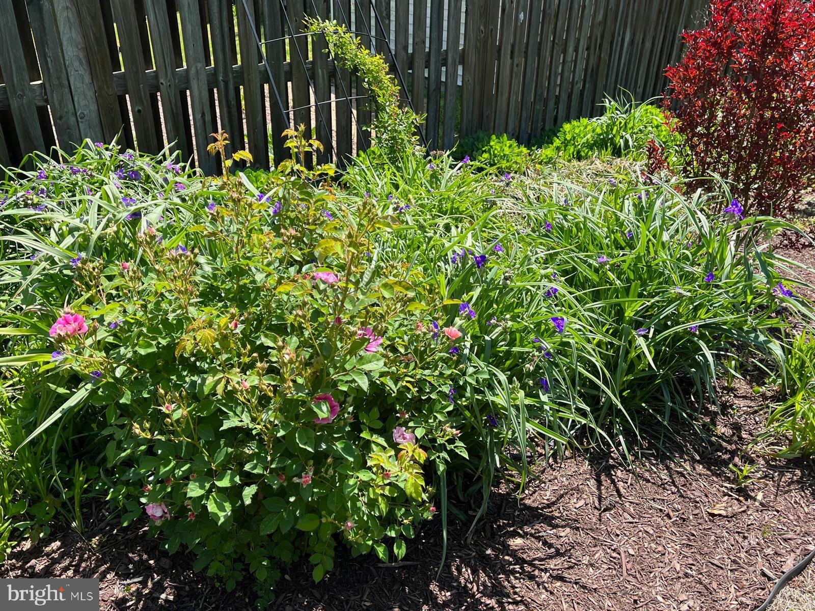 Real estate listing preview #55