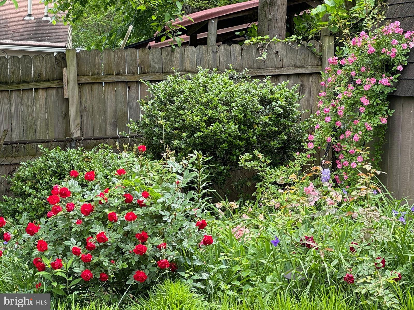 Real estate listing preview #61