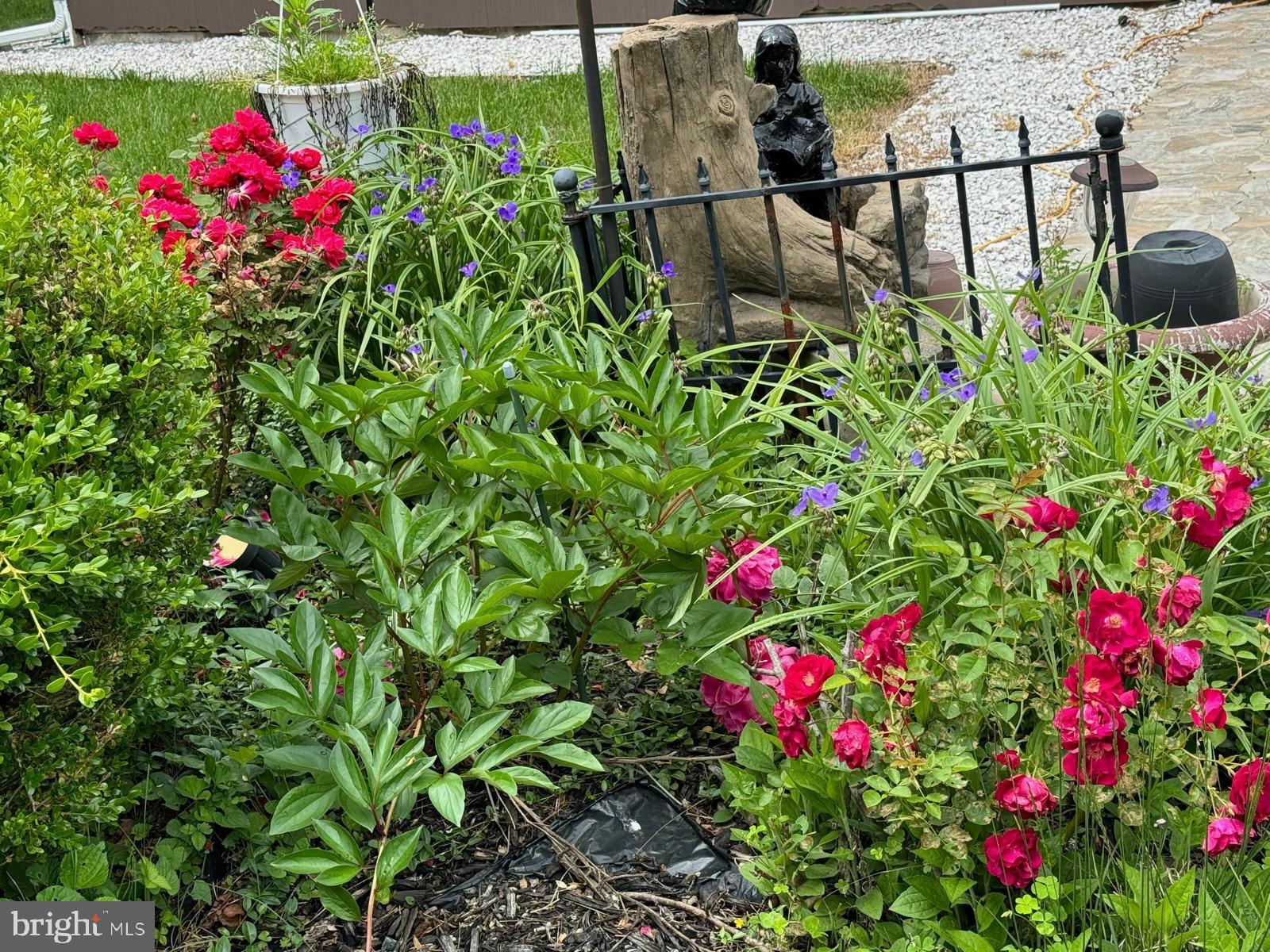 Real estate listing preview #62