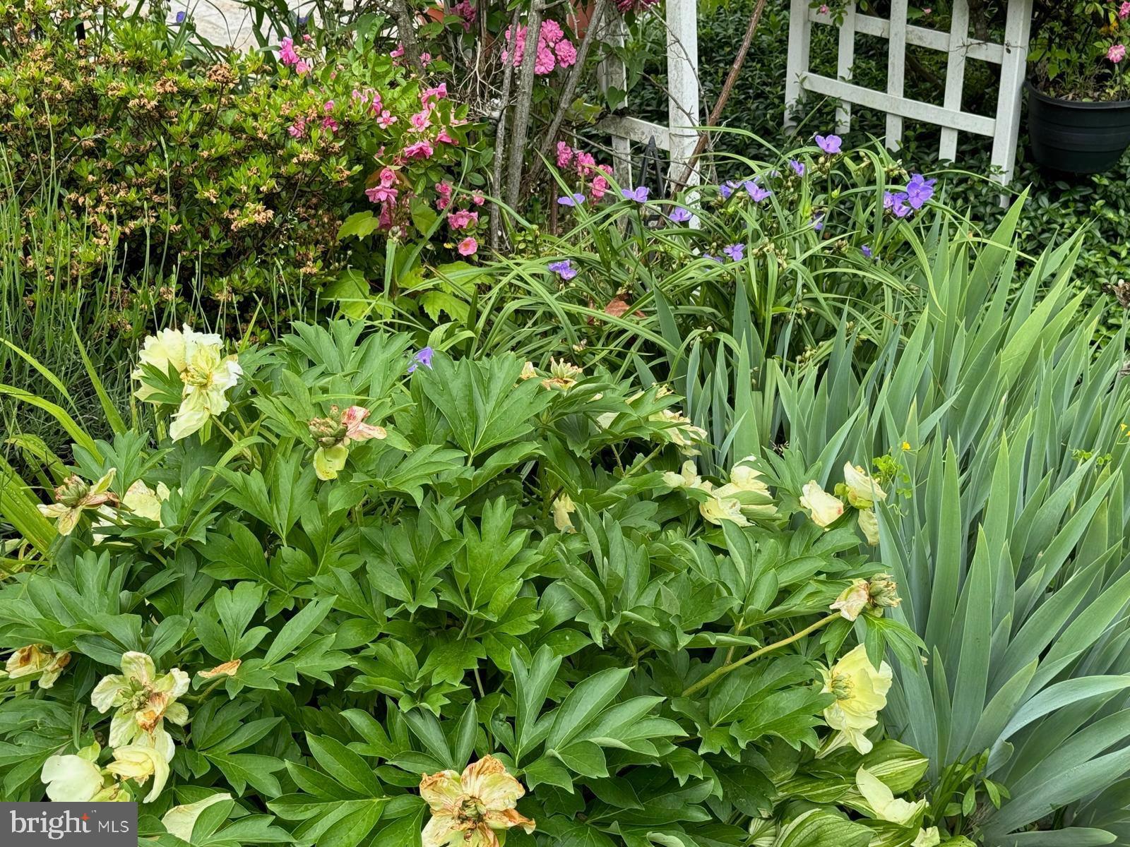 Real estate listing preview #66